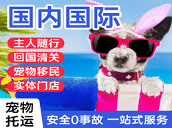 敦煌航空快运国际宠物托运 【国